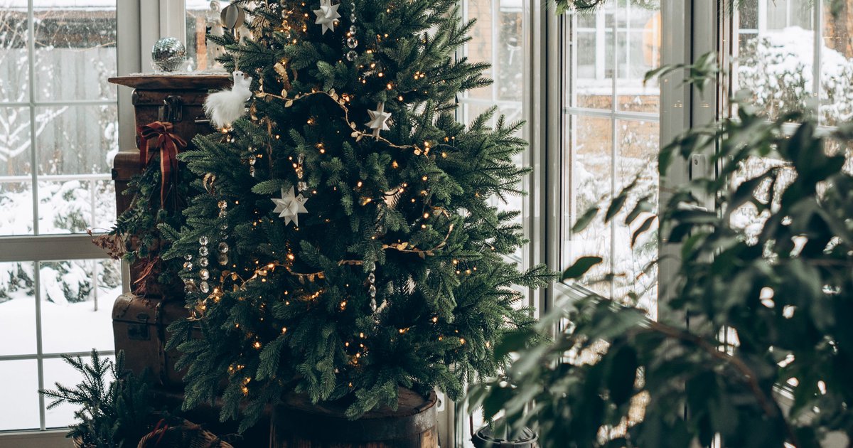 Wintergarten anbauen: Planung, Genehmigung und Kosten