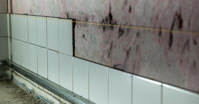 Schimmel an der Wand: Ursachen erkennen und dauerhaft beseitigen