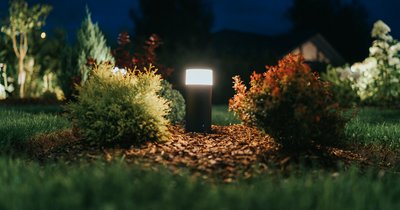 Gartenbeleuchtung planen: So setzen Sie Pflanzen optimal in Szene