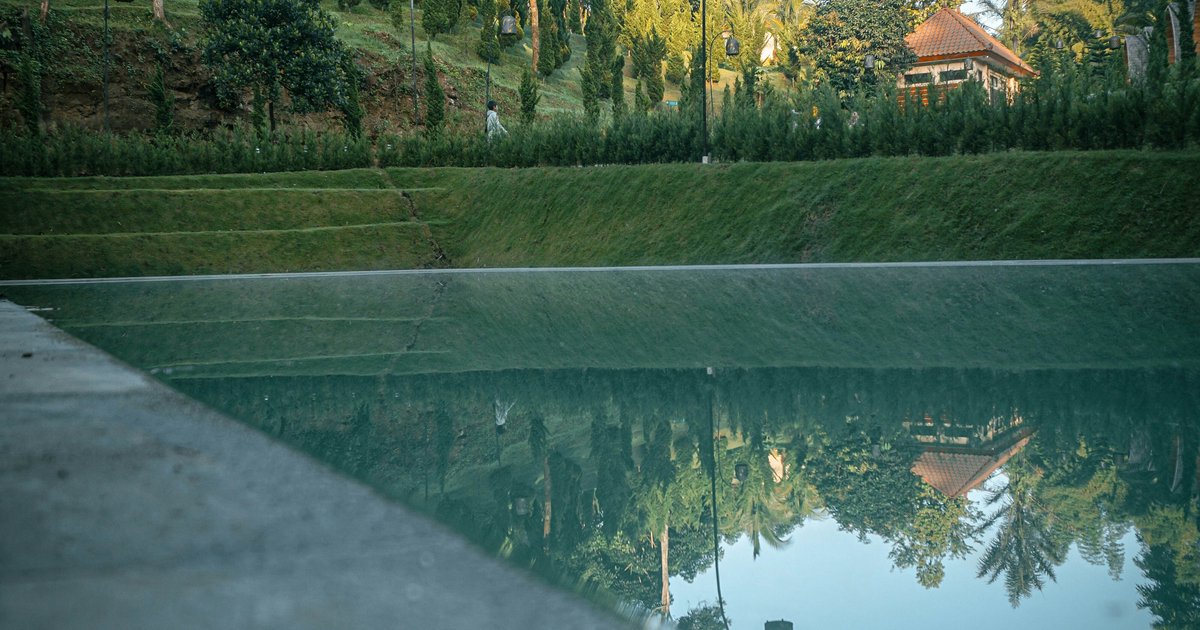 Naturpool bauen: Kosten und Planung im Überblick