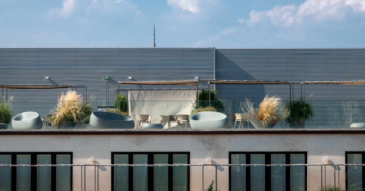 Dachterrasse begrünen: Pflanzen, die Hitze und Wind trotzen