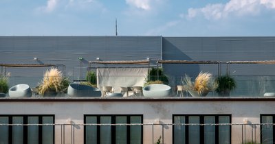 Dachterrasse begrünen: Pflanzen, die Hitze und Wind trotzen